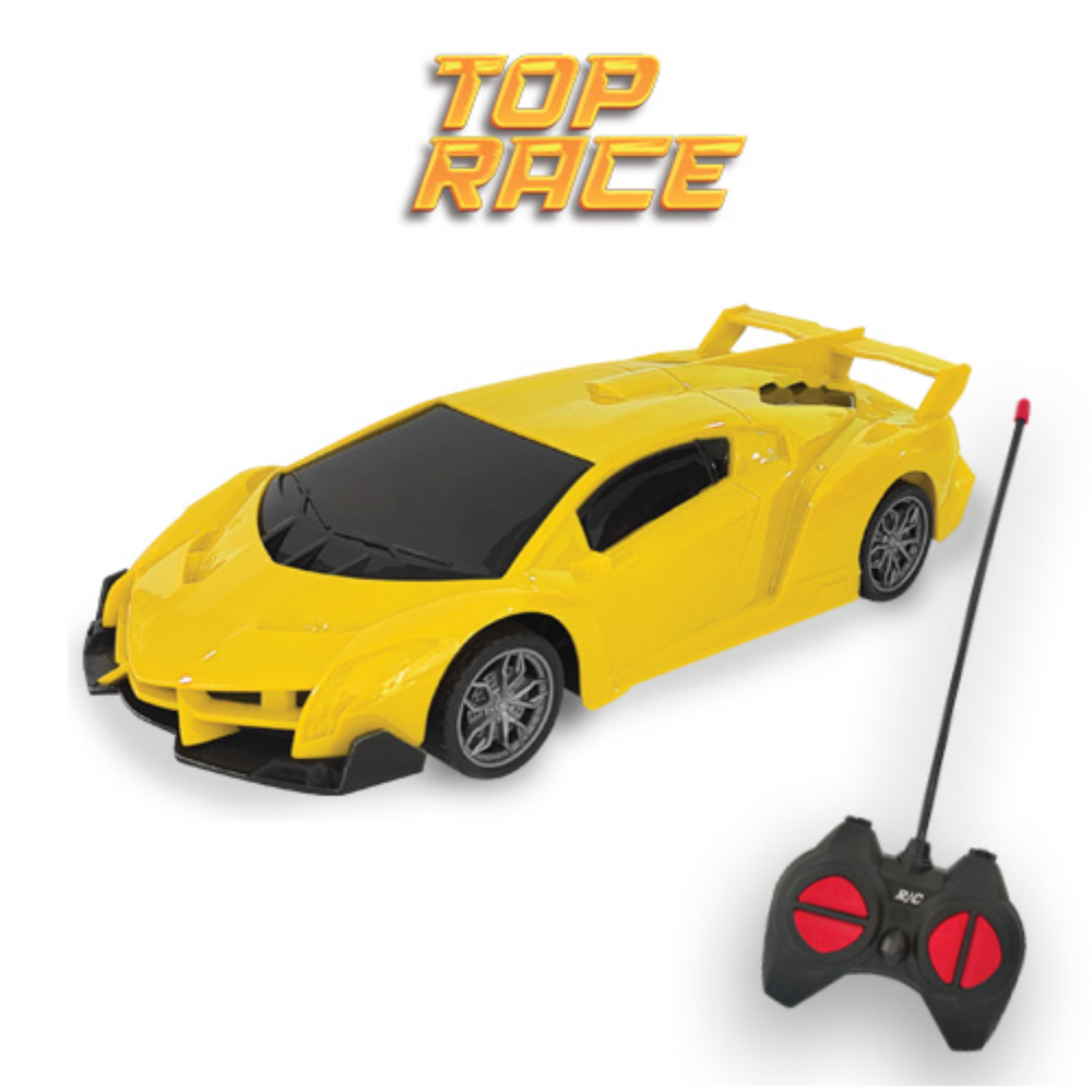 Carrinho de Controle Remoto Escala 1:16 Top Race POLIBRINQ