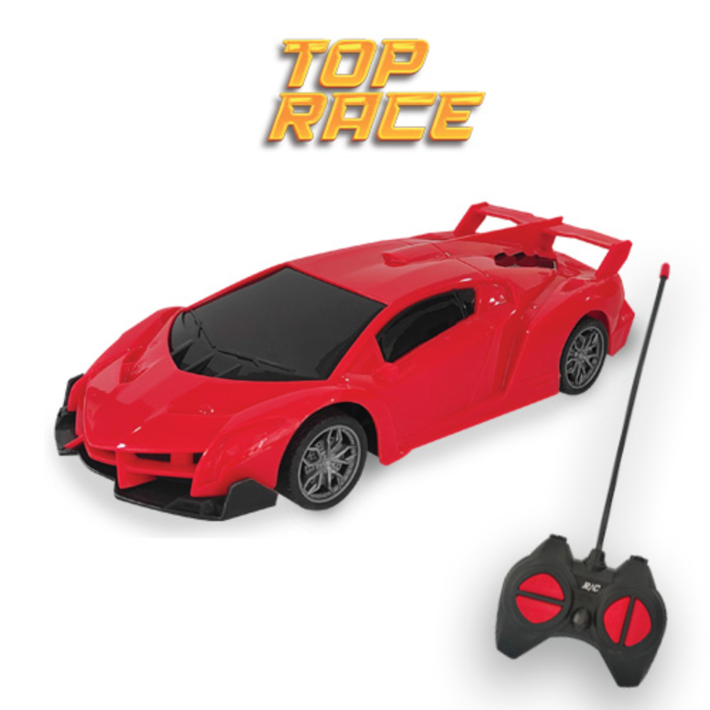 Carrinho de Controle Remoto Escala 1:16 Top Race POLIBRINQ