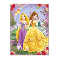Caderno Brochurão Disney Princesas 80f (Bela e Rapunzel) TILIBRA