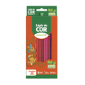 Lápis de Cor de Madeira Reflorestada 36 Cores Sextavado LEO&LEO