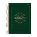 Caderno Universitário 10m 160fls Hogwarts Legacy (HL) JANDAIA